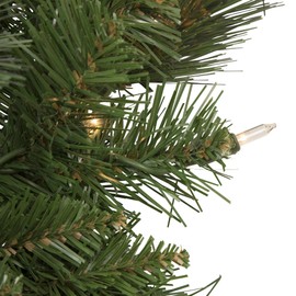 Northlight Mixed Beaver Pine Artificial Christmas Wreath Clear Lights, 24", Green