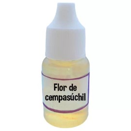 Creaciones Marypao Esencia Flor De Cempasuchil Velas Dia De Muertos 10 Ml