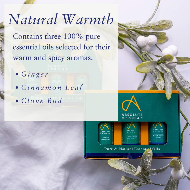 Absolute Aromas Spicy Essential Oils Set - Pack of 3