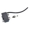 Coil Ignition With BM6A For Echo ES-250 PB-250LN PB-250 ES-252