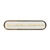 Wellbeing Champion Gel Domed White School Bar Badge