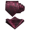 JEMYGINS Mens Paisley Tie and Pre-tied Paisley Bow Tie with