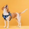 Dogline Quest No-Pull Dog Harness with Deaf Dog Reflective Removable