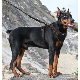 Dog Harness with Handle, Tactical Dog Harness Vest for Large Medium Dogs No Pull Adjustable Reflective Military Dog Vest Harness for Walking, Hiking, Coffee, L