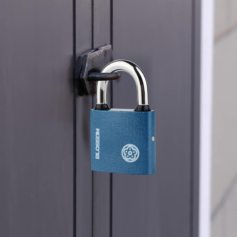 2 Pack Iron Padlock with Keys Heavy Duty Padlock High