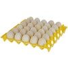 Kerbl Hobbyfarming Plastic Egg Storage for 30 Eggs