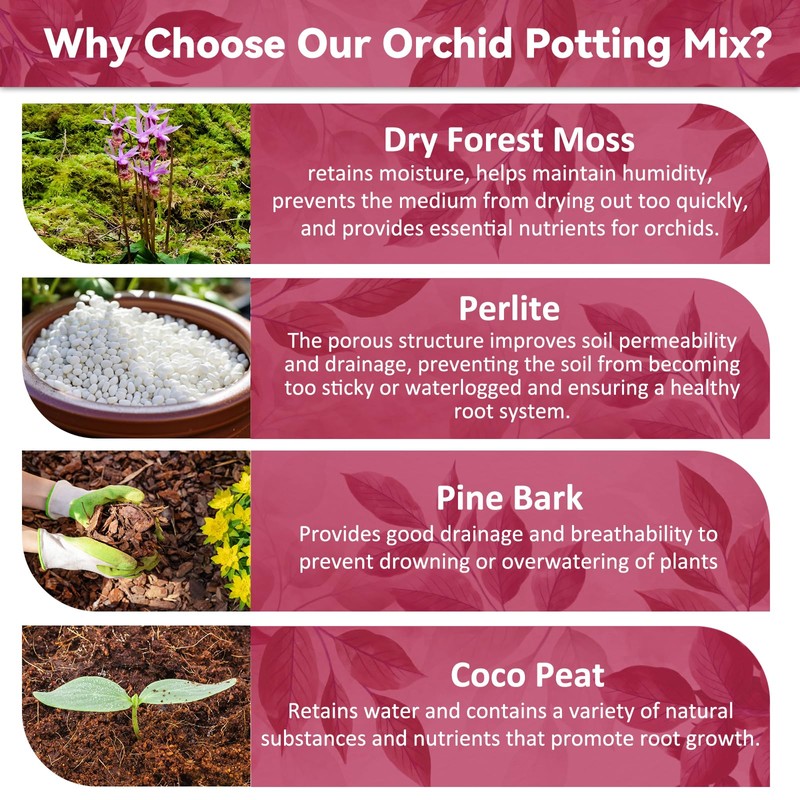 Riare 1QT Orchid Potting Mix for Repotting- Orchid Repotting Kit