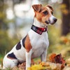 Faleela Cotton Plaid Shirt Style Dog Collar Soft Cute,Boy Dog