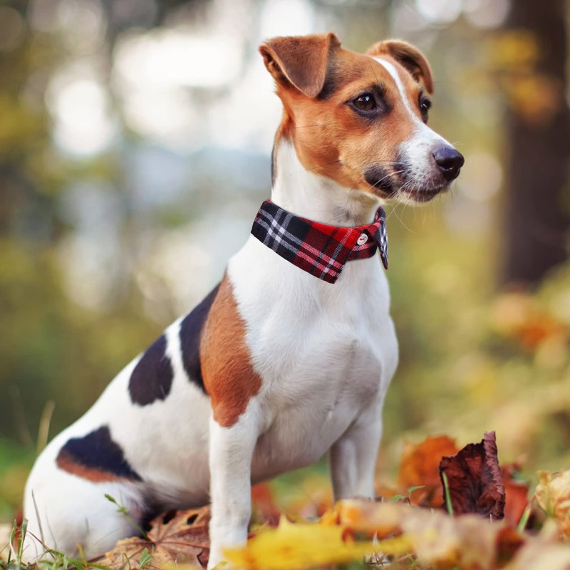 Faleela Cotton Plaid Shirt Style Dog Collar Soft Cute,Boy Dog