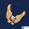 Large Eagle Back Patch Beige - 23.3 x 23.3 cm
