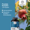 HealthyWorld® Prostate Complex - For Men - 120 Vegetable Capsules