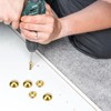 8Pcs Pure Brass Decorative Screws with Caps Mirror Fixing Screw