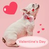 azuza Valentine's Day Dog Collar Removable Valentine Bowtie Dog Collar