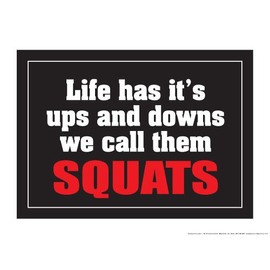 Fitnus Chart Series Life has It's ups and Downs we Call Them Squats 18" X 24" Poster (Red)