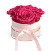 Rosmarie Schulz Heidelberg Rose Box, White Round Infinity Rose, Flower