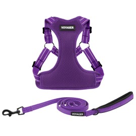 Best Pet Supplies Voyager Adjustable Dog Harness Leash Set with Reflective Stripes for Walking Heavy-Duty Full Body No Pull Vest with Leash D-Ring, Breathable All-Weather - Harness (Purple), M