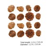 CAXUSD 100pcs Mini Pine Cone Decor Artificial Pine Cones for