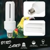 LUCKY HERP UVA UVB Light Bulb for Birds 2.4 UVB