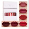 Set De 6 Labiales Lápiz Color Rosa Mate Labial Tornasol