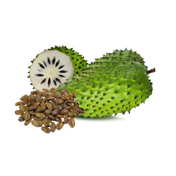 PENDING 20 Soursop, Graviola, Guanabana, Paw-paw, Sirsak, Prickly Custard, Annona