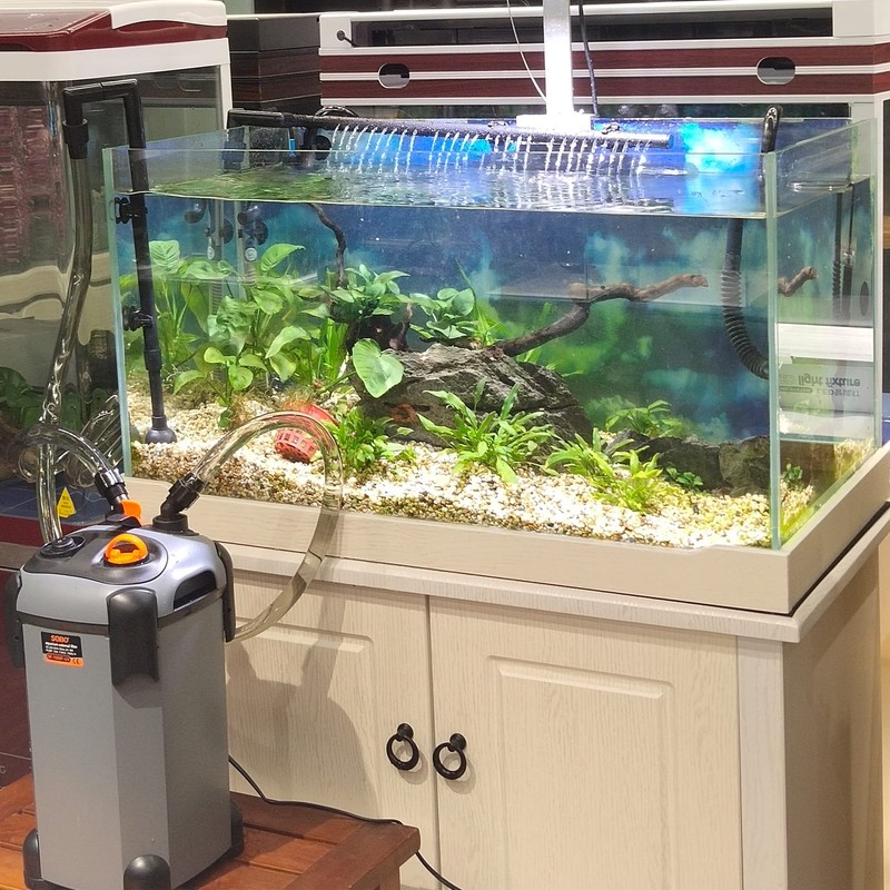 SUNWEN Aquarium External Ultra-Quiet Canister Filter, Fish Tank Water Circulation