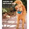 Outward Hound Tennis Ballz Fetch Dog Toy, 4-Pack