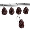 EleCharm 12-Pack Resin Pinecone Decorative Shower Curtain Hooks Steel Sliding