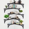 CACASO 5 Pack Floating Shelves, Rustic Wood, Black