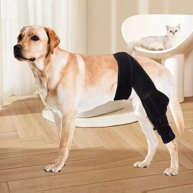 애견용보호 강아지용품 커버 보호대 다리 슬개골 탈골uvw543 Pet Dog Protective