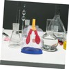 Mobestech 5pcs Lung Breathing Model Scientific Prop Lung Breathing Experiment