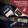 Stringjoy BB1254 Brights 80/20 Bronze Light Acoustic Guitar Strings, 12-54