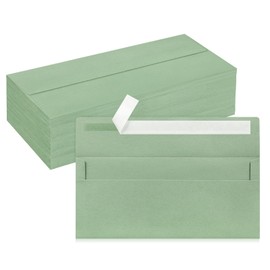 100 Pack #10 Business Envelopes, Sage Green Standard Envelopes Self Seal, Letter Size Mailing Envelopes for Checks Letters Invoices Statements Birthday Graduation Wedding, 4 1/8 x 9 1/2 Inch