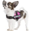 Julius-K9 162PM K9 power harness, size: mini, black