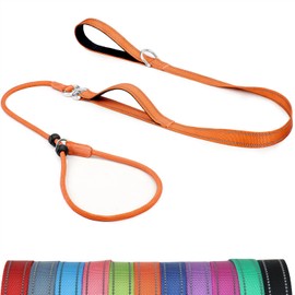 Erbine 6FT Slip Lead Dog Leash with Double Padded Handle, Anti-Tangle Slip Leads for Dogs, Reflective Nylon No-Pull Training Leash for Small Medium Dogs, Orange