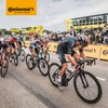 Continental Race 28 Light Road Bike Inner Tube 700c x
