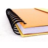 Sweda Recycled Foldover Notebook & Pen, Wire Bound, 5" x