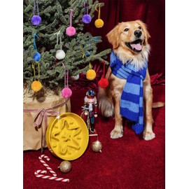 LE TAUCI Dog Bowls Slow Feeder Ceramic, 1.5 Cups Slow Feeding Dog Bowl Small Medium Breed, Puppy Slow Feeder Bow for Fast Eaters, Dog Dishes to Slow Down Eating, Puzzle Dog Food Bowl, Star Yellow