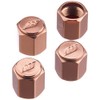WORK AVC-BR Air Valve Caps, Brown, Set of 4
