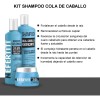 Kit Tratamiento Cola De Caballo Mayor Crecimiento Nefertiti