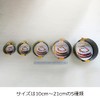 Fuji Enamel 33256 Easy to Remove from Mold, Decoration, Removable
