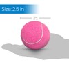 RMS Walker Glide Balls - A Set of 4 Balls