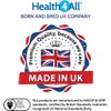 Health4All Kids Iron Chewable 120 Tablets Learning and Growth Support.