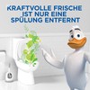 WC-Ente WC Ente Frische-Sticker, körbchenloser WC Spüler, bis zu 4