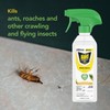 Raid Raid Essentials Multi-Insect Killer Spray Bottle, Child and Pet