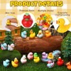 GSrenyu 40 Pcs Mini Ducks 40 Styles Tiny Resin Ducks