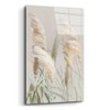 Epic Art 'Neutral Pampas Grasses 3' by Danhui Nai Acrylic
