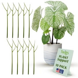 Twigs GA - Twig Plant Stakes for Indoor Plants, Plant Support Stakes, Plant Accessories, Plant Trellis Outdoor, Plant Support for Potted Plants Indoor - Peony (Light Green), 10 Pack, 22" L, Original