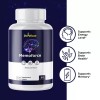 Pelican Vitamins Memoforce- Brain Support- 60 Capsules
