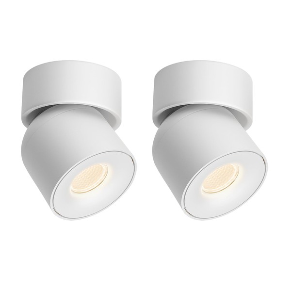 Aisilan LED Ceiling Spot Lights Indoor Dimmable 2 Pack -