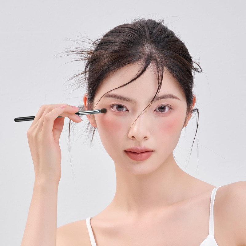 DUcare 1061 Eye Shadow Brush, Set of 10, Mini Eye